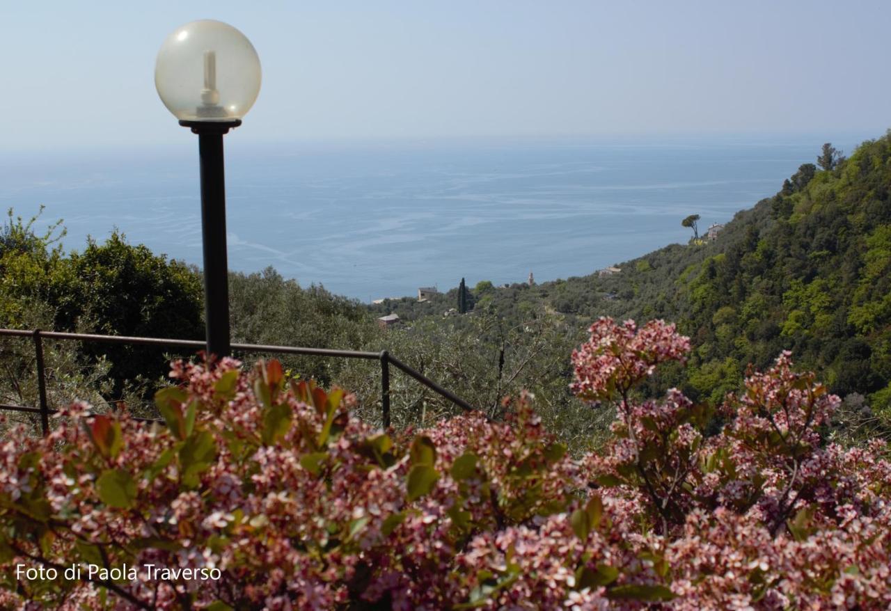 Azalea Villa Recco Eksteriør billede