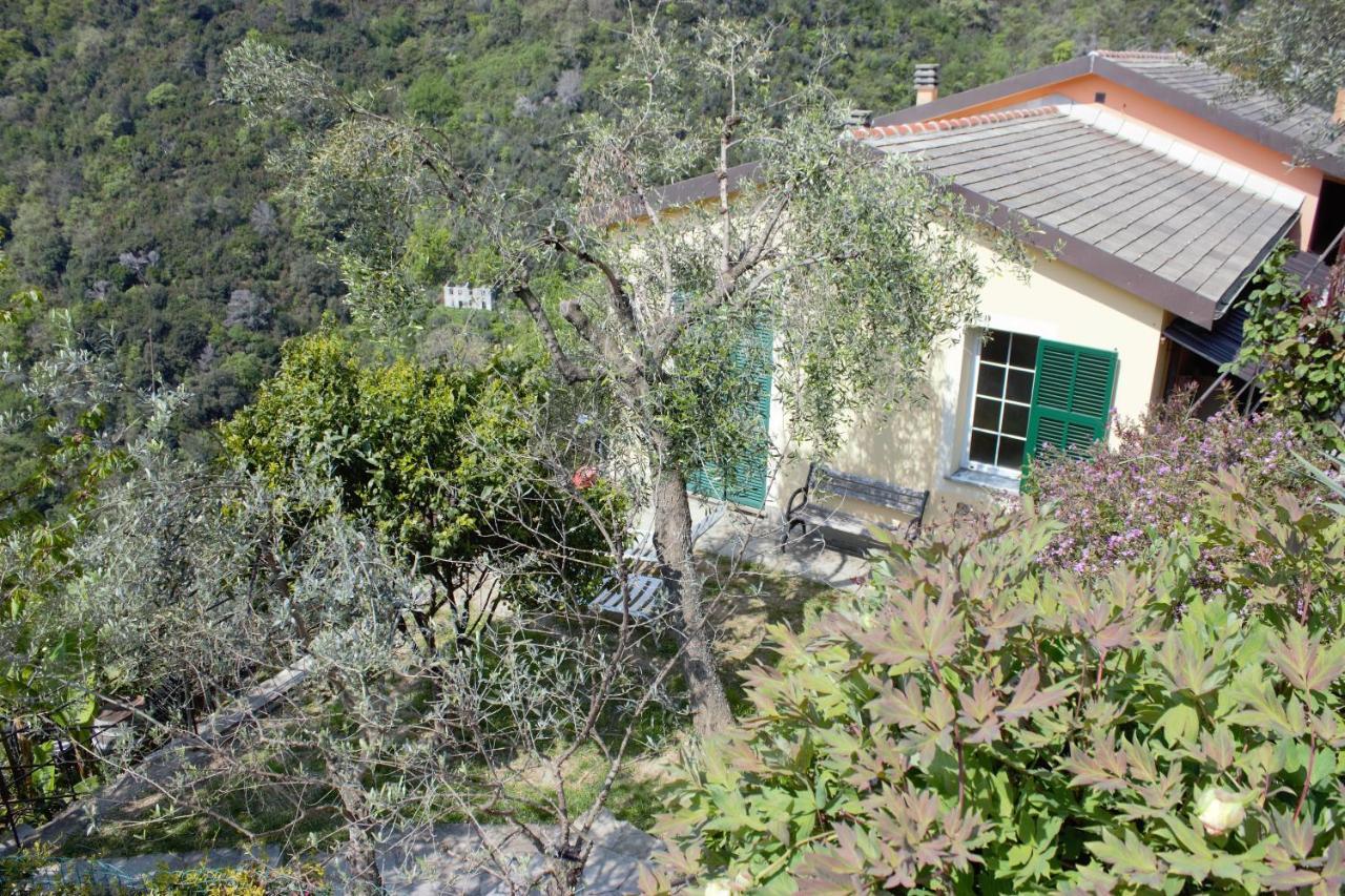 Azalea Villa Recco Eksteriør billede