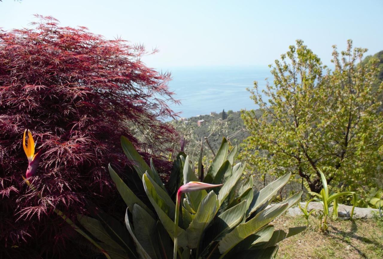 Azalea Villa Recco Eksteriør billede